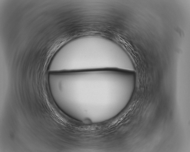 X0000112810049200908210947