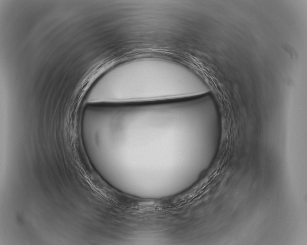 X0000112810050200908210947