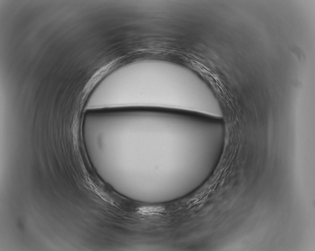 X0000112810051200908210947