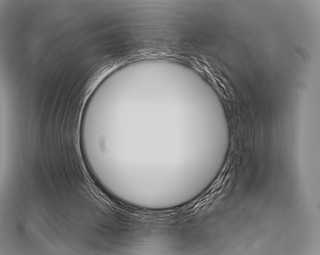 X0000112810052200908210947