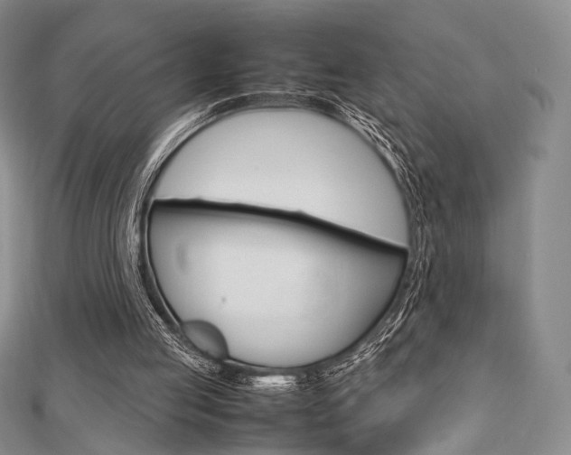 X0000112810053200908210947