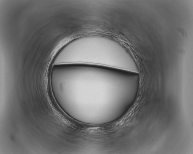 X0000112810054200908210947