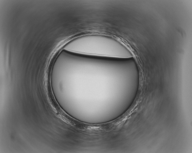 X0000112810055200908210947