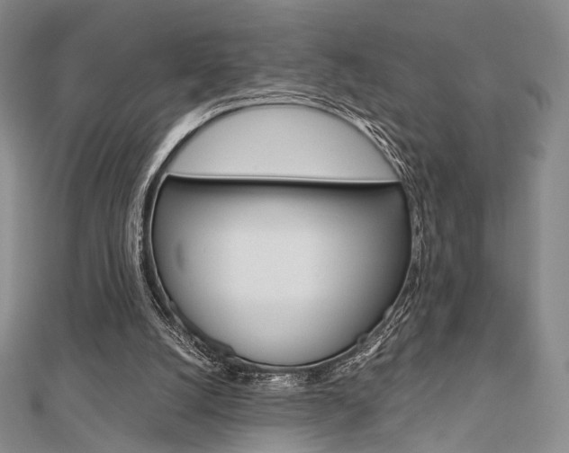 X0000112810056200908210947