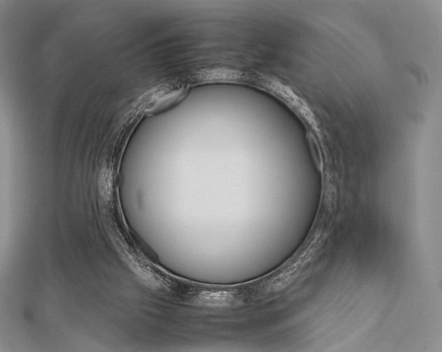 X0000112810057200908210947