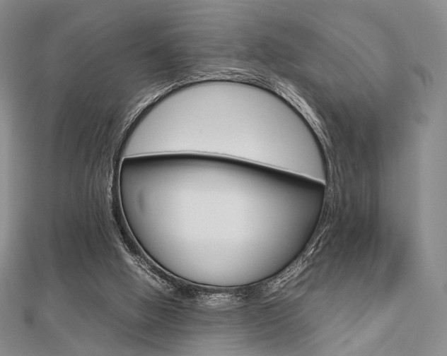 X0000112810058200908210947