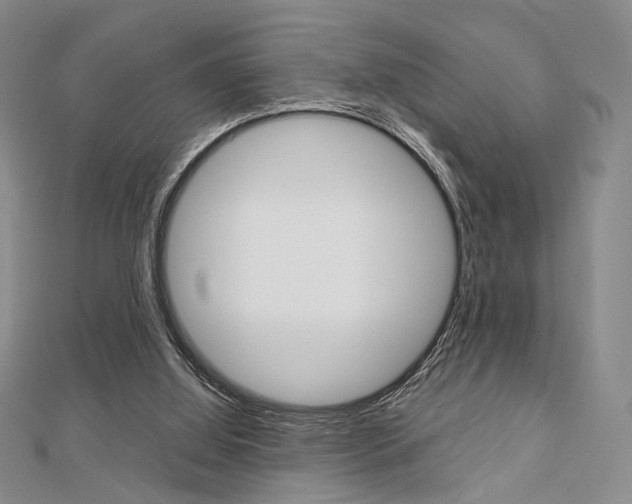 X0000112810060200908210947