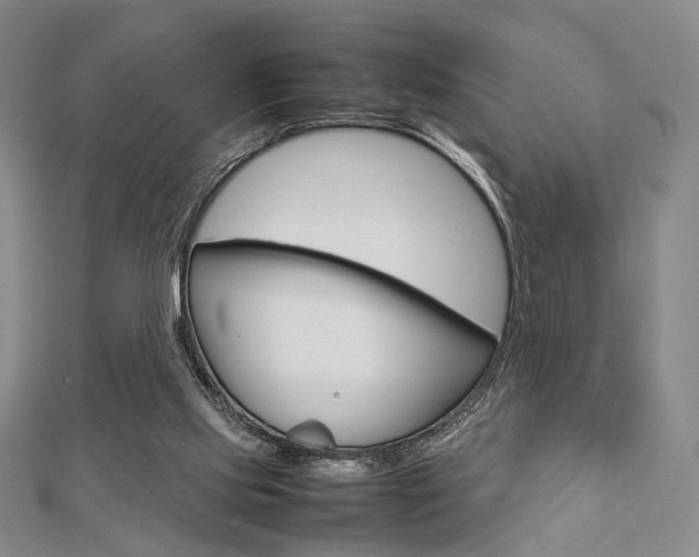 X0000112810061200908210947