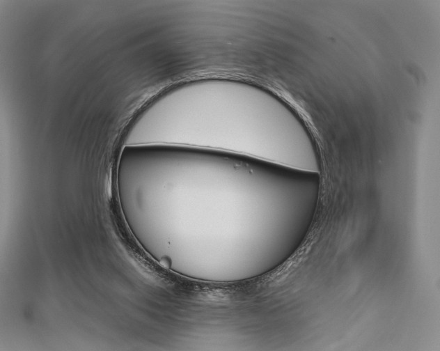 X0000112810062200908210947