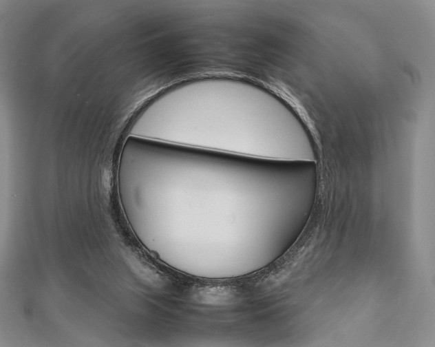 X0000112810063200908210947