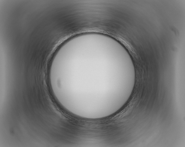 X0000112810064200908210947