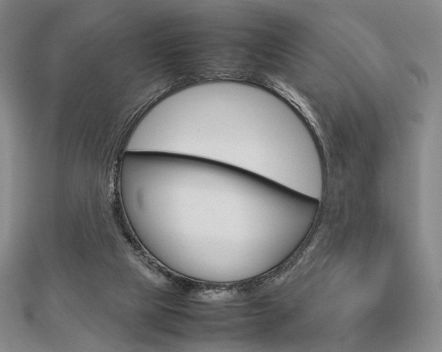 X0000112810065200908210947