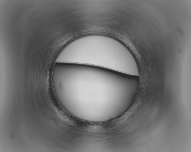 X0000112810066200908210947