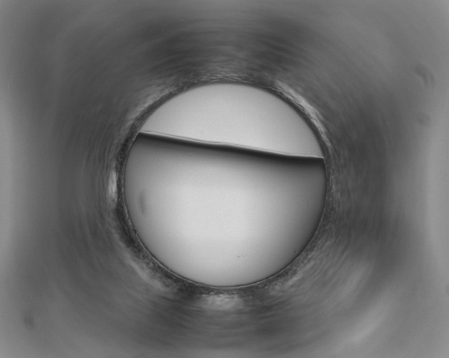 X0000112810067200908210947