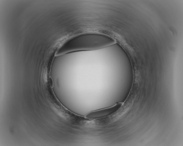 X0000112810068200908210947