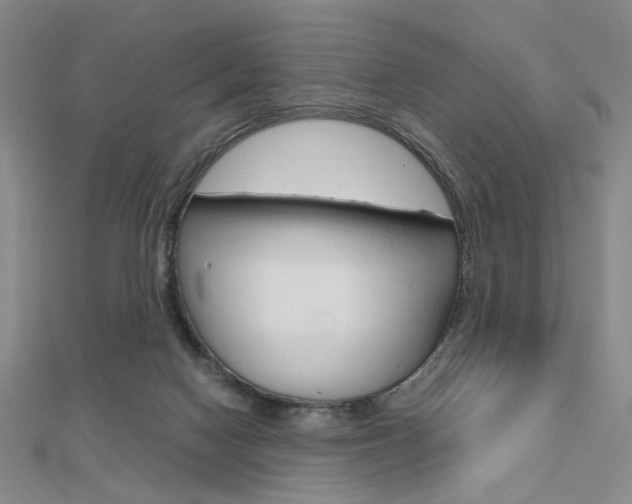 X0000112810074200908210947