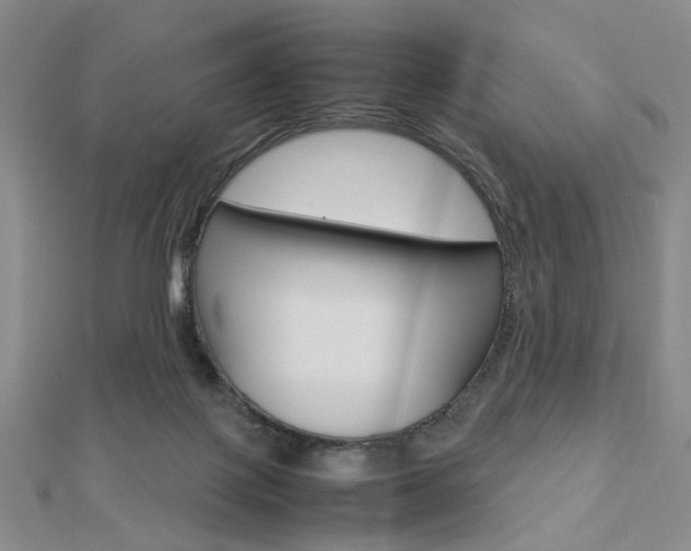X0000112810075200908210947