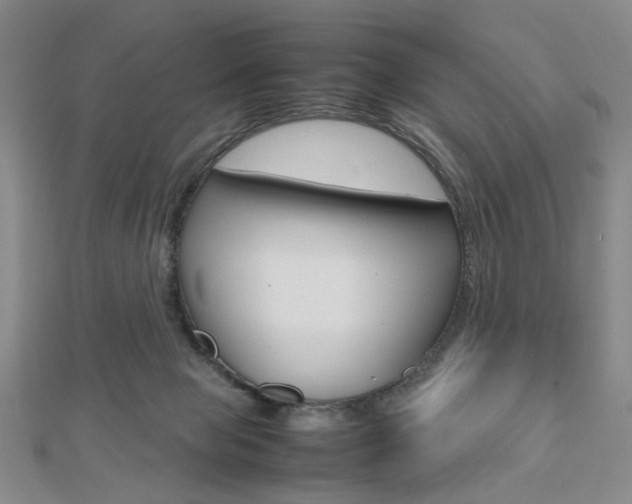 X0000112810077200908210947