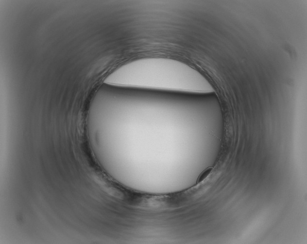 X0000112810078200908210947