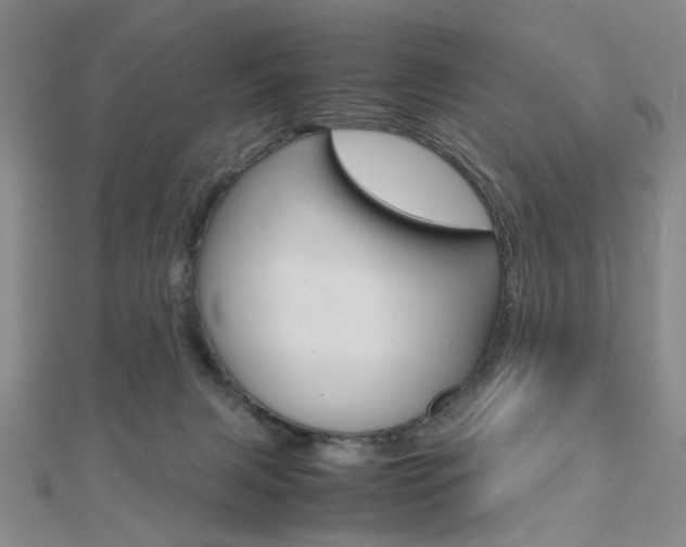 X0000112810079200908210947