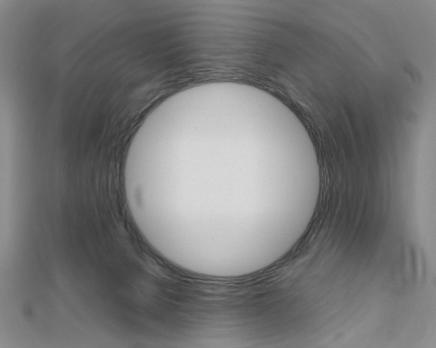 X0000112810080200908210947
