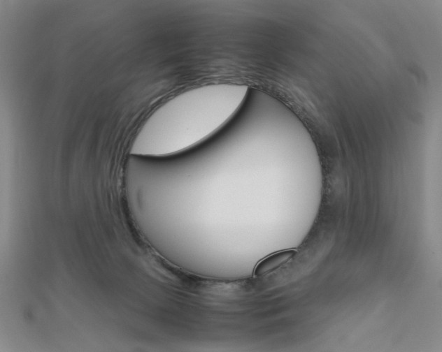 X0000112810081200908210947