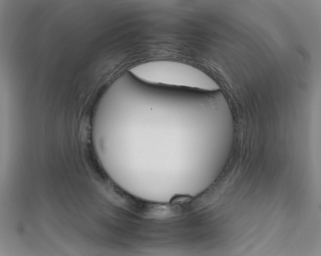 X0000112810083200908210947