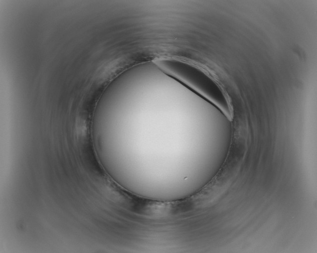 X0000112810084200908210947