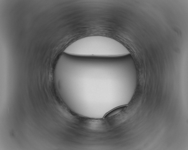 X0000112810085200908210947