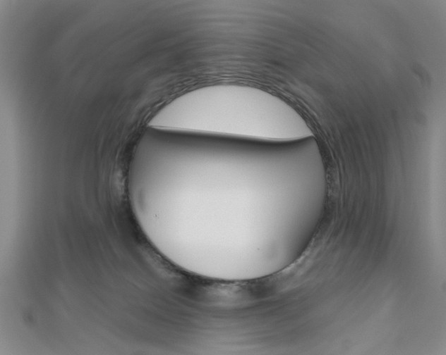 X0000112810086200908210947