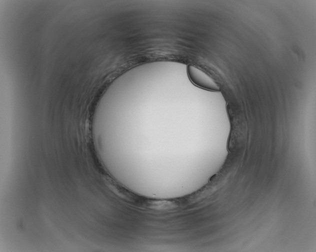 X0000112810087200908210947