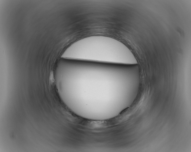 X0000112810089200908210947