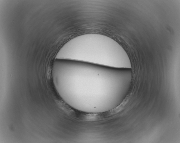 X0000112810090200908210947