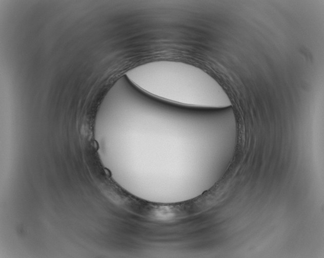 X0000112810091200908210948