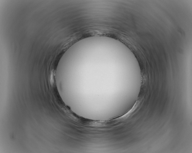 X0000112810094200908210948