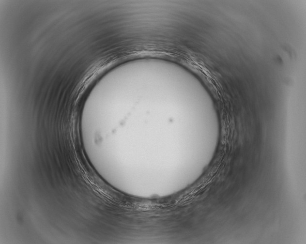 X0000112810098200908210947
