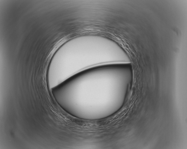 X0000112810099200908210947