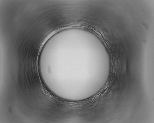 X0000112810100200908210947