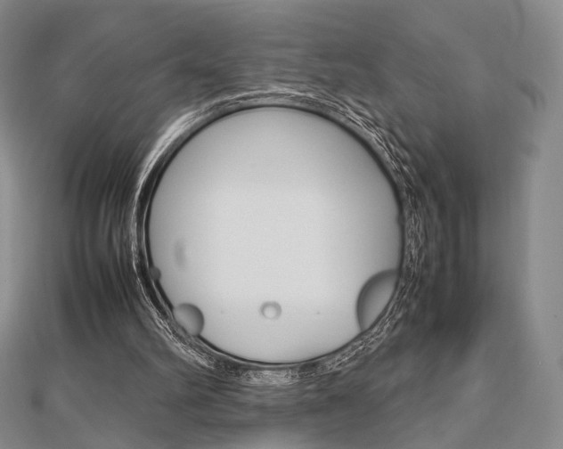 X0000112810102200908210947