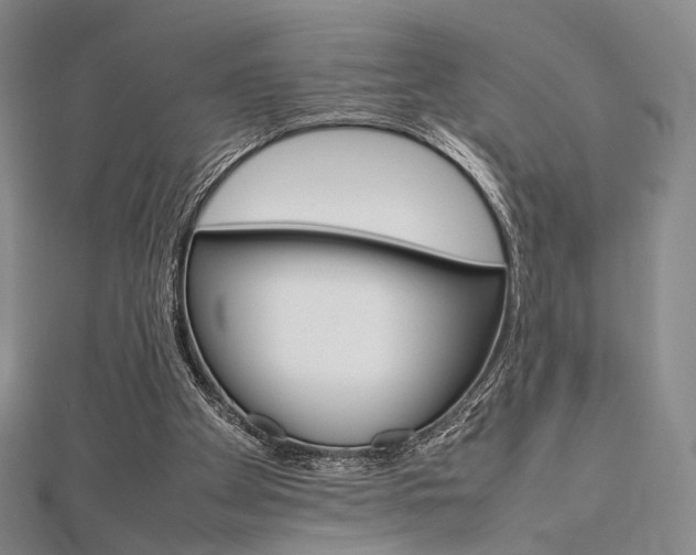 X0000112810105200908210947