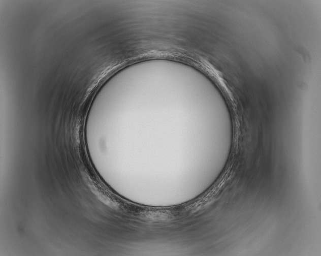X0000112810106200908210947