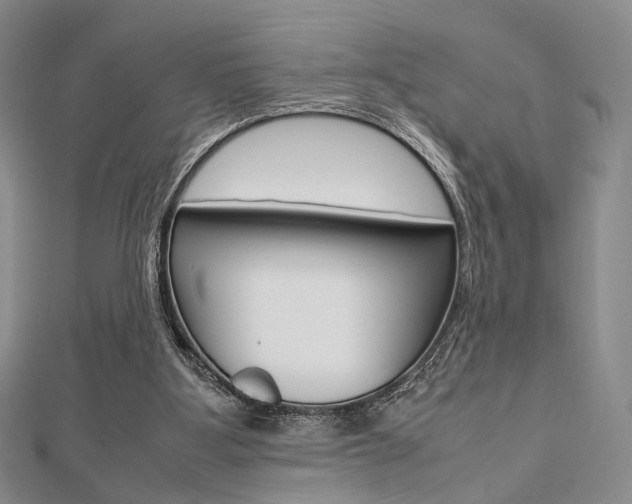 X0000112810107200908210947