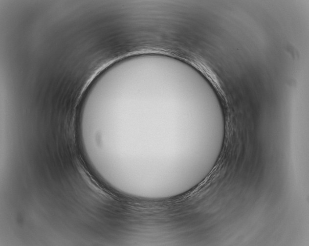 X0000112810108200908210947