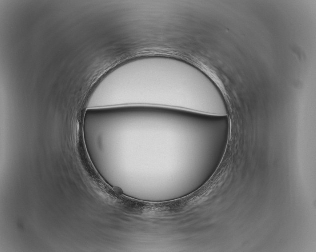 X0000112810109200908210947