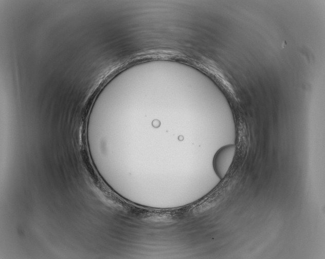 X0000112810110200908210947