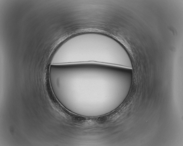 X0000112810111200908210947