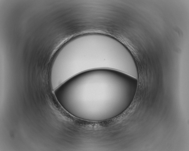 X0000112810112200908210947