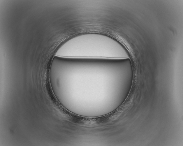 X0000112810113200908210947