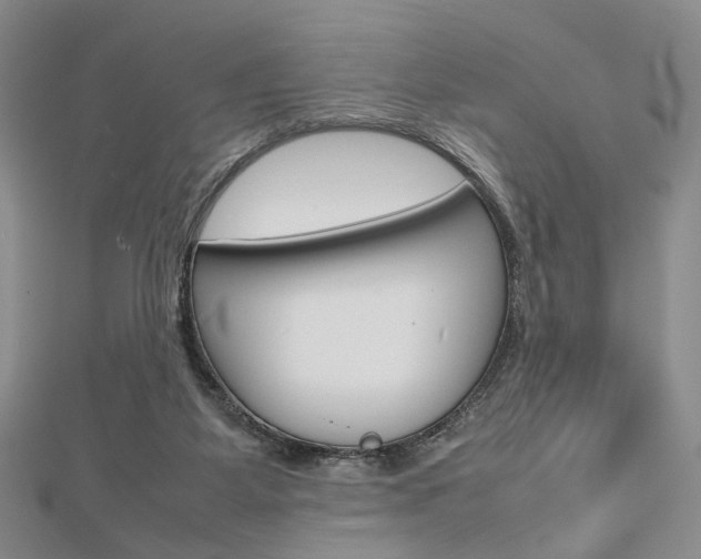 X0000112810115200908210947