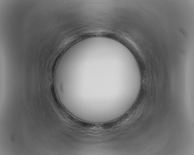 X0000112810119200908210947